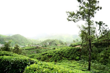 Tuğla duvar dokusu arkaplanı