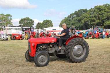Southampton, İngiltere - 28 Temmuz 2019: Yıllık Netley Steam and Craft Show 'da eski traktör sergileniyor.
