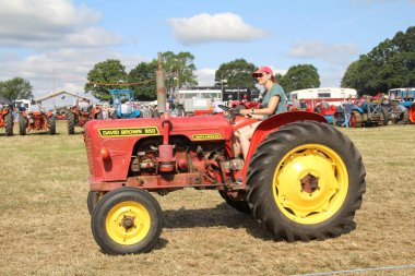 Southampton, İngiltere - 28 Temmuz 2019: Yıllık Netley Steam and Craft Show 'da eski traktör sergileniyor.