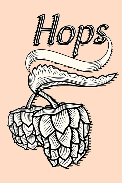 用于啤酒酿造标志的风格化啤酒花 — 图库矢量图片