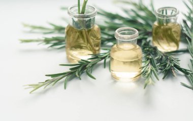 Biberiye esansiyel yağı taze biberiye ile küçük şişelerde closeup, seçici odak çırpı