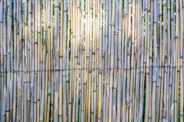 Πολύχρωμα μπαμπού φυσικό τείχος φράχτης υφή φόντου — Φωτογραφία Αρχείου