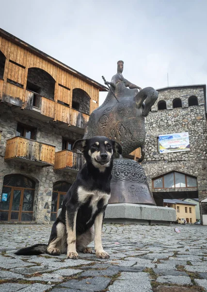 Outubro 2018 - Mestia, Svaneti, Geórgia: um cão sentado em frente ao monumento moderno à Rainha Tamar, a Grande, na praça central — Fotografia de Stock