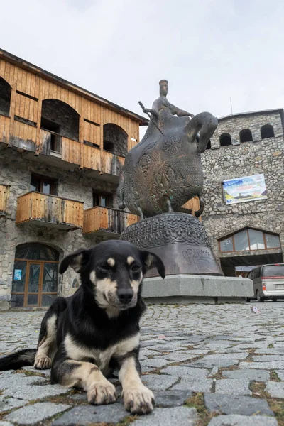 Outubro 2018 - Mestia, Svaneti, Geórgia: um cão deitado em frente ao monumento moderno à Rainha Tamar, a Grande, na praça central — Fotografia de Stock