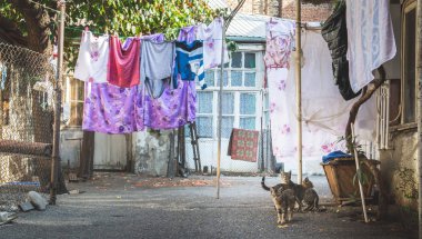 Bir dize, Tiflis, Gürcistan kurutma renkli giysileri ile yere bahçesinde oturan kedi