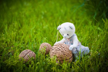 Yeşil küçük ayıcık