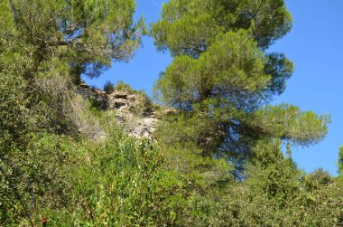 İspanya 'da dağ sırası