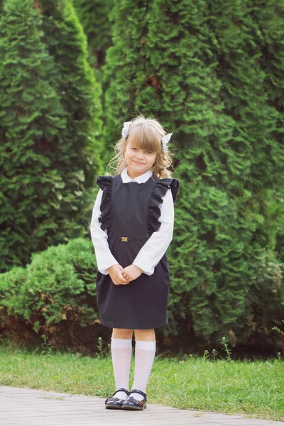 Una Pequeña Niña Alegre Ojos Azules Primera Clase Con Pelo — Foto de Stock