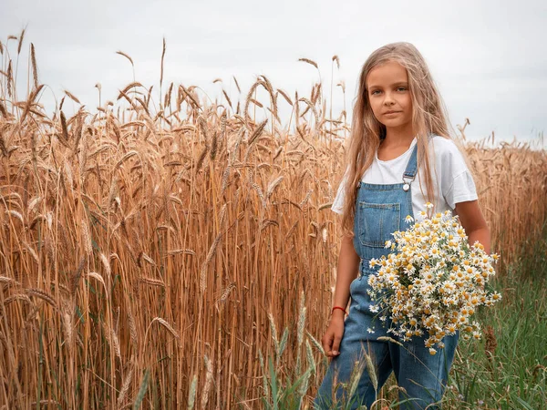 Dívka Dlouhými Vlasy Poli Kyticí Sedmikrásek — Stock fotografie