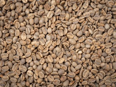 Afrika 'dan pişmemiş çiğ kahve çekirdeği. 