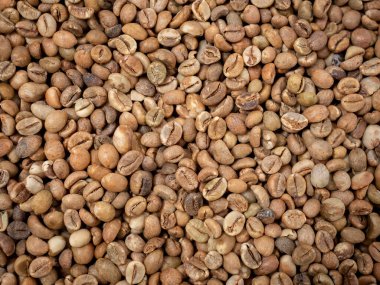 Afrika 'dan pişmemiş çiğ kahve çekirdeği. 