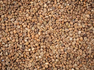 Afrika 'dan pişmemiş çiğ kahve çekirdeği. 