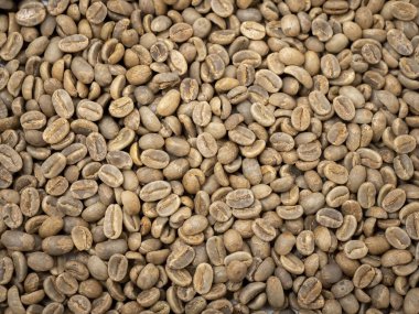 Afrika 'dan pişmemiş çiğ kahve çekirdeği. 