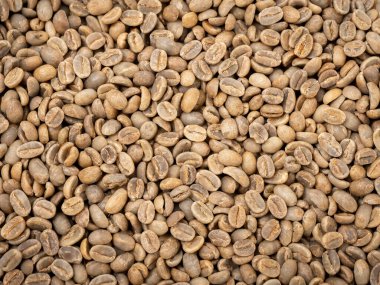 Afrika 'dan pişmemiş çiğ kahve çekirdeği. 