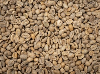 Afrika 'dan pişmemiş çiğ kahve çekirdeği. 