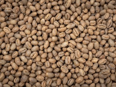 Afrika 'dan pişmemiş çiğ kahve çekirdeği. 