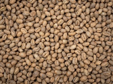 Afrika 'dan pişmemiş çiğ kahve çekirdeği. 