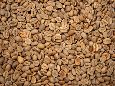 Afrika 'dan pişmemiş çiğ kahve çekirdeği. 