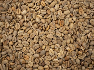 Afrika 'dan pişmemiş çiğ kahve çekirdeği. 