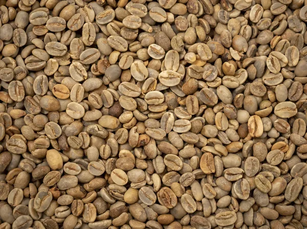 Afrika 'dan pişmemiş çiğ kahve çekirdeği. 