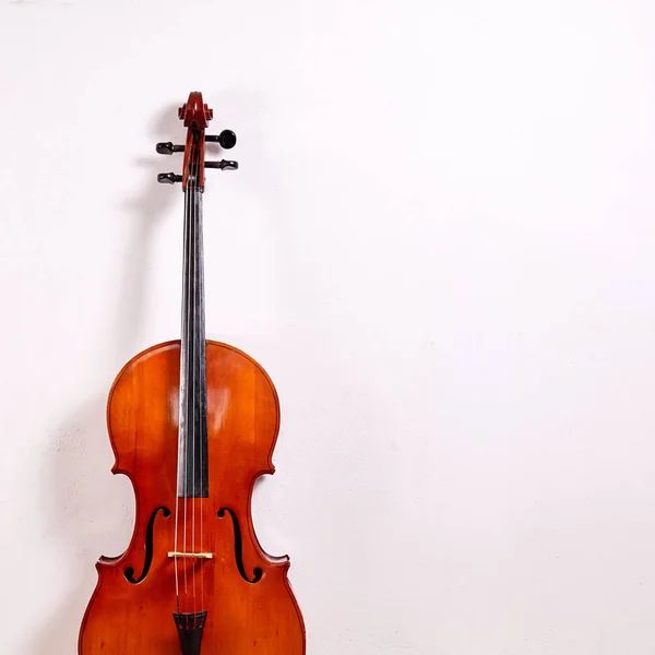 旧的复古大提琴被隔离在白色背景上 — 图库照片