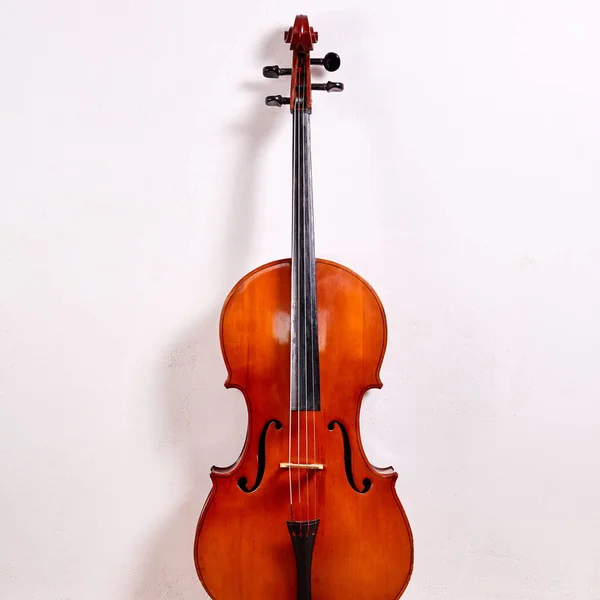 Vecchio Violoncello Retrò Isolato Sfondo Bianco — Foto Stock