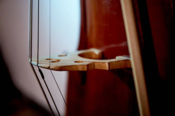 Old Retro Cello Isolated White Background — Stock Photo, Image