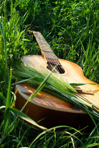 Акустична Гітара Природі Музичний Інструмент — стокове фото