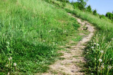 alanında patika. Çim ile doğa arka plan
