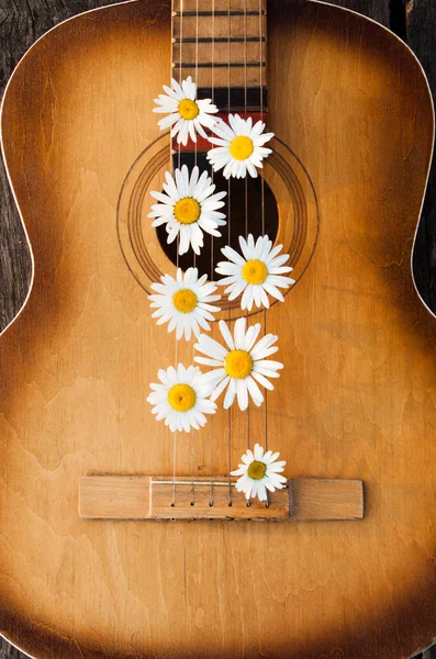 Old guitar with flower. Music instruments. Summer background