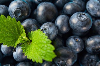 Mavi berry ahşap masanın üzerine kapatın. Gıda katkı maddeleri. Taze meyve