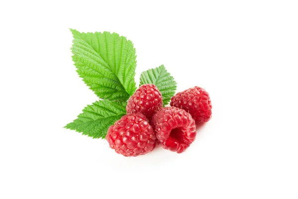 Malina Listy Izolované Bílém Pozadí Čerstvé Ovoce Sladká Jídla — Stock fotografie