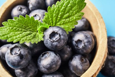 Olgun yaban mersini taze yakın çekim. Gıda katkı maddeleri. Doğa arka plan