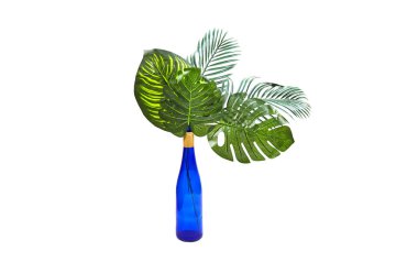 Beyaz arkaplanda yeşil palmiye yaprakları izole