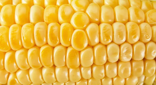 Friss Kukorica Faasztaláig Élelmiszer Összetevők — Stock Fotó