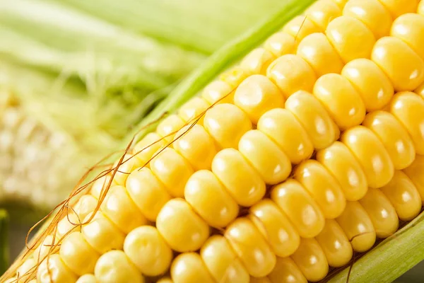 Fresh Corn Wood Desk Food Ingredients — Stock Photo, Image