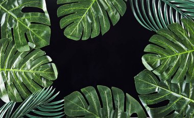 Yeşil palmiye arka plan üzerinde bırakır. Yaz seyahat kavramı