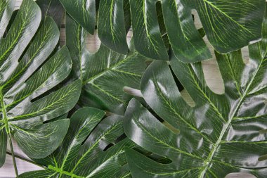 Yeşil palmiye arka plan üzerinde bırakır. Yaz seyahat kavramı