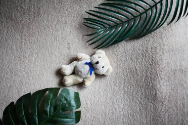 Kapak üzerinde beyaz peluş ayı. Oyuncak bebek.