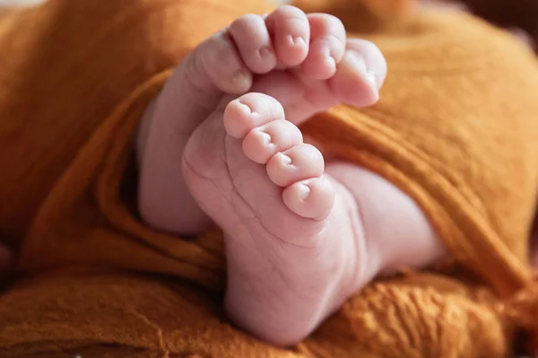 Bebisben Nära Varandra Naturbakgrund Graviditet Och Amning — Stockfoto