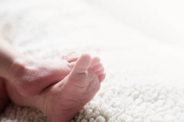 Bebisben Nära Varandra Naturbakgrund Graviditet Och Amning — Stockfoto