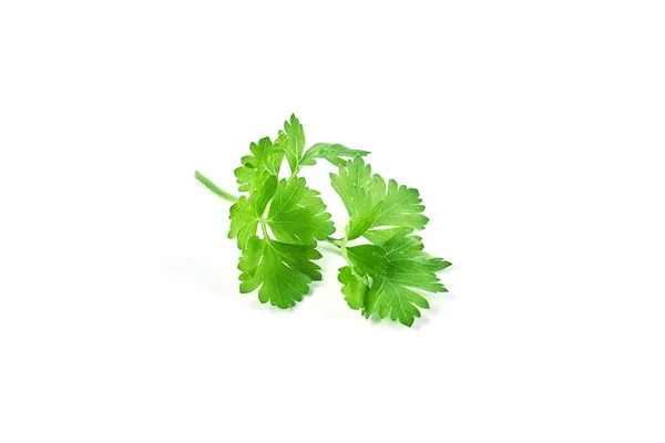 Salsa Verde Fresca Isolada Sobre Fundo Branco Ingredientes — Fotografia de Stock