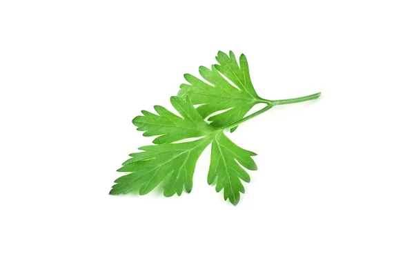 Fresh Green Parsley Isolated White Background Food Ingredients — Stock Photo, Image