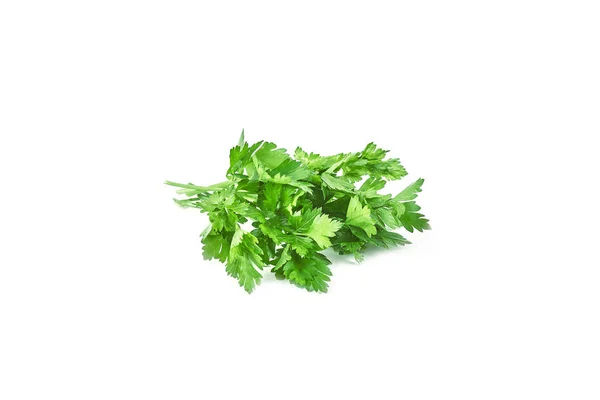 Fresh Green Parsley Isolated White Background Food Ingredients — Stock Photo, Image