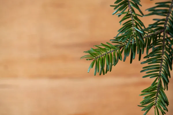 Weihnachtsbaumzweig Aus Nächster Nähe Auf Dem Holztisch Frohes Neues Jahr — Stockfoto