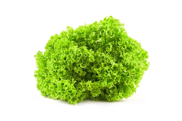 Sałatka Zielona Liść Białym Tle Świeże Warzywa — Zdjęcie stockowe