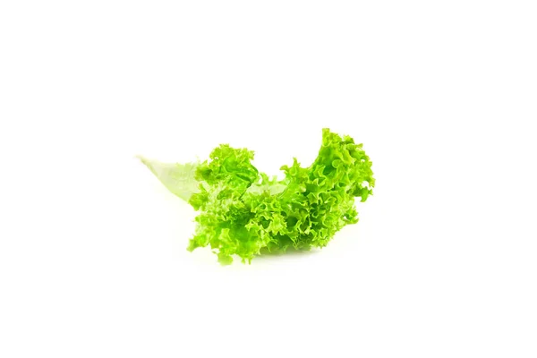 Grüner Blattsalat Isoliert Auf Weißem Hintergrund Frisches Gemüse — Stockfoto