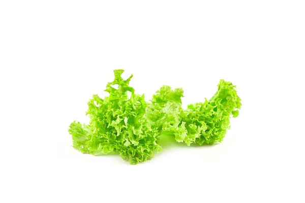 Grüner Blattsalat Isoliert Auf Weißem Hintergrund Frisches Gemüse — Stockfoto