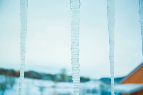 Bela Brilhante Transparente Icicles Pendurar Dia Claro — Fotografia de Stock