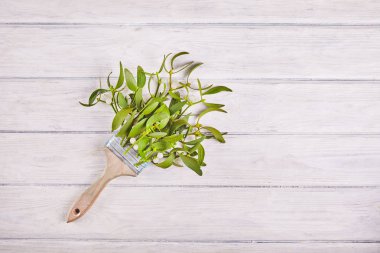 Ahşap masa üzerinde yeşil ökse otu üzerinden süpürge. Doğa arka plan. Noel bitki